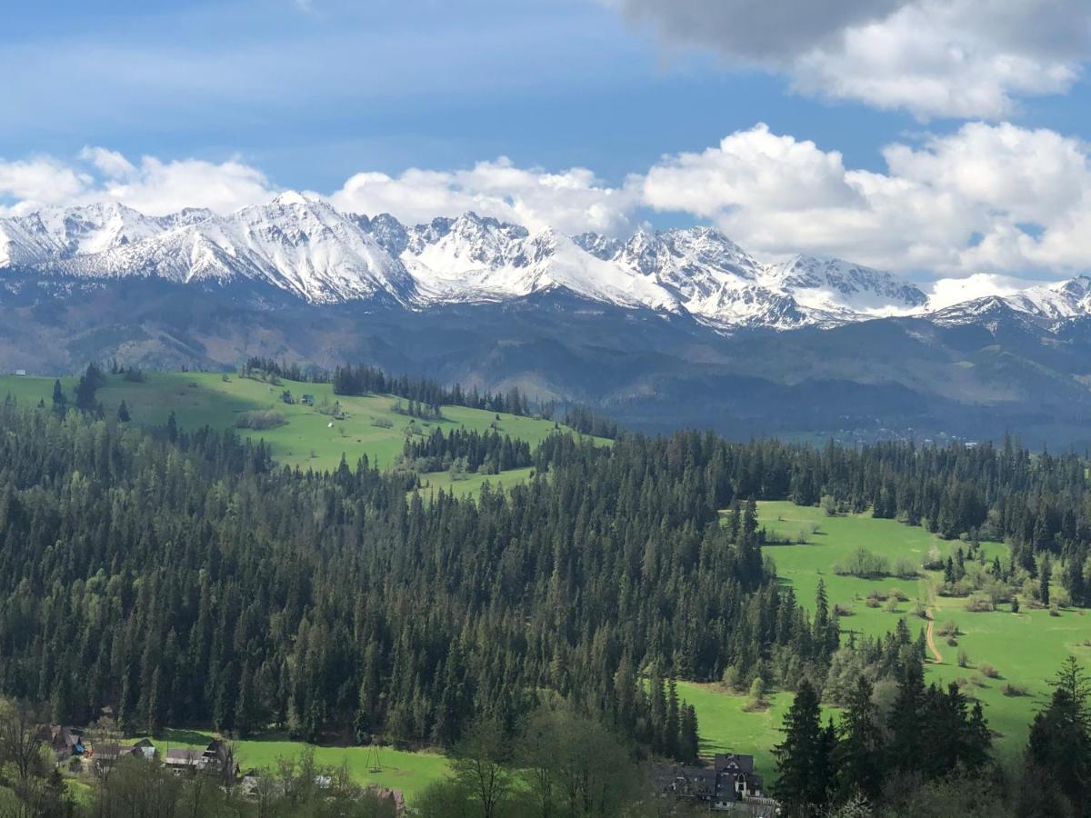 Domki Sielsko Gora Gliczarów Dış mekan fotoğraf